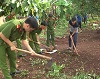 Bình Long: Hơn 300 đoàn viên thanh niên tham gia chiến dịch hè tình nguyện.