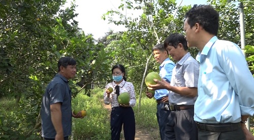 Bình Long có 1.345 hộ nông sản xuất, kinh doanh giỏi